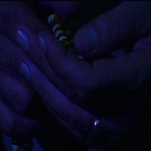 Foto Monika Borgmann