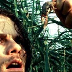 Foto Wim Vandekeybus