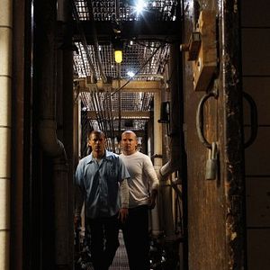 Foto Dominic Purcell