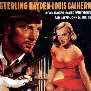 Foto La jungla de asfalto