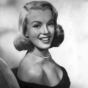 Foto La jungla de asfalto