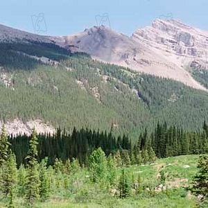 Foto Brokeback Mountain. En terreno vedado