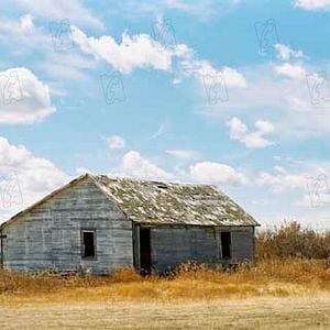 Foto Brokeback Mountain. En terreno vedado