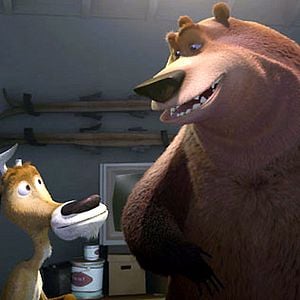 Foto Colegas en el bosque