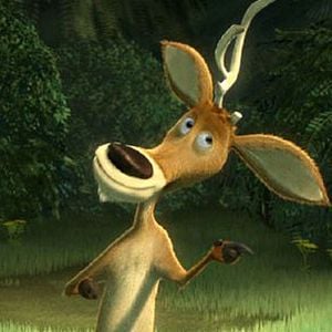 Foto Colegas en el bosque