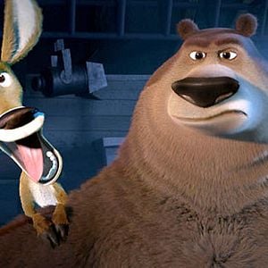 Foto Colegas en el bosque