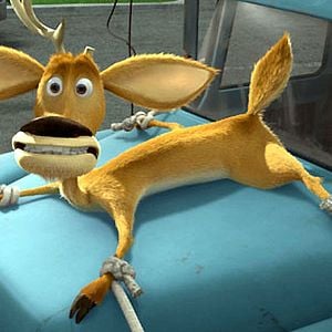 Foto Colegas en el bosque