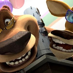 Foto Colegas en el bosque