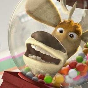 Foto Colegas en el bosque