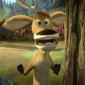 Foto Colegas en el bosque