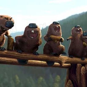 Foto Colegas en el bosque