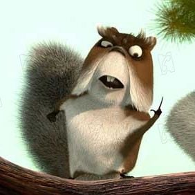 Foto Colegas en el bosque