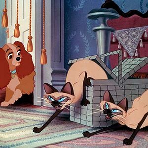 Foto La dama y el vagabundo