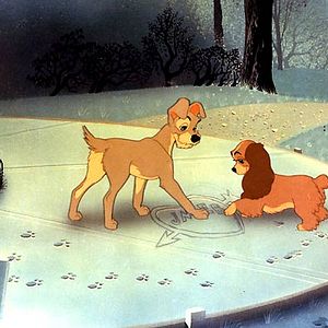 Foto La dama y el vagabundo