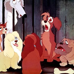 Foto La dama y el vagabundo