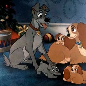 Foto La dama y el vagabundo