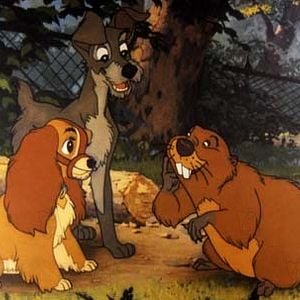 Foto La dama y el vagabundo