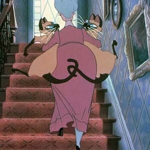 Foto La dama y el vagabundo