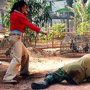 Foto Panna Rittikrai