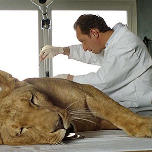 Foto Benoît Poelvoorde