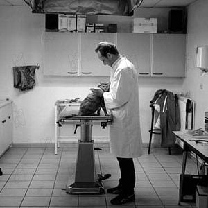 Foto Benoît Poelvoorde