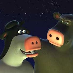 Foto El corral, una fiesta muy bestia