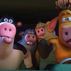 Foto El corral, una fiesta muy bestia