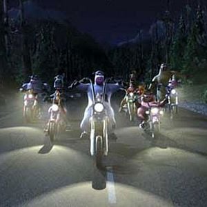 Foto El corral, una fiesta muy bestia