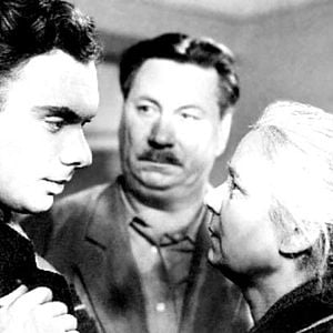 Foto Cuando pasan las cigüeñas