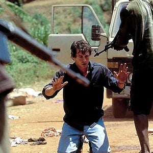 Foto Disparando a perros