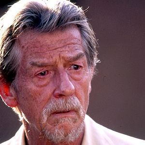 Foto Disparando a perros