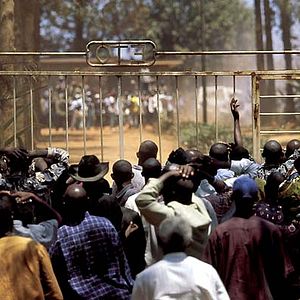 Foto Disparando a perros