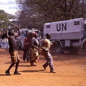 Foto Disparando a perros