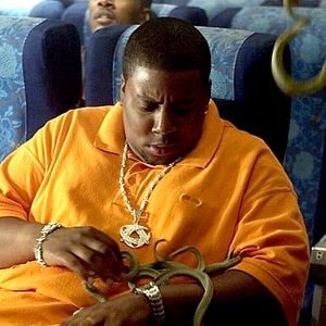 Foto Serpientes en el avión