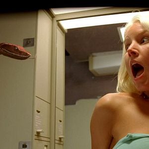 Foto Serpientes en el avión