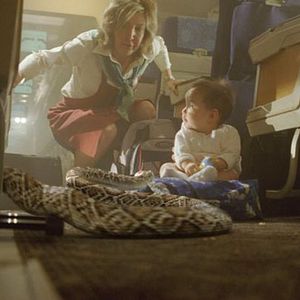 Foto Serpientes en el avión