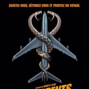 Foto Serpientes en el avión