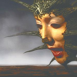 Foto Dave McKean
