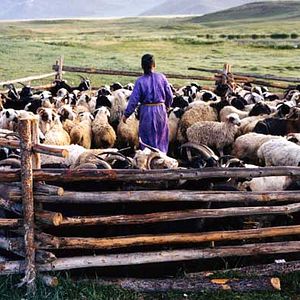 Foto Byambasuren Davaa