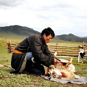 Foto Byambasuren Davaa