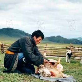 Foto Byambasuren Davaa