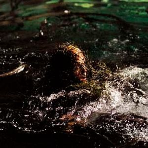 Foto Terror en la niebla