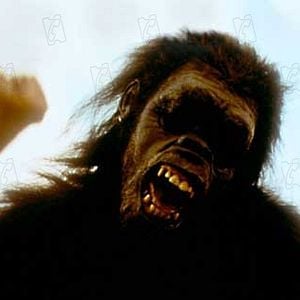 Foto Stanley Kubrick