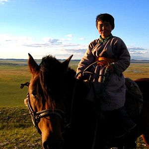 Foto Ping Pong Mongol