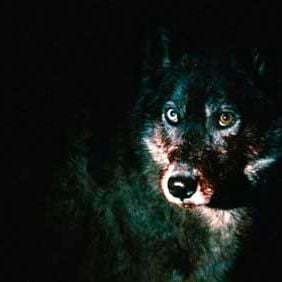 Foto Fabián Bielinsky