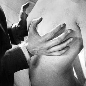 Foto Un perro andaluz