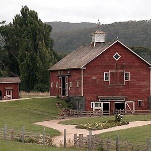 Foto La telaraña de Carlota