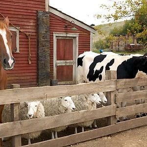 Foto La telaraña de Carlota