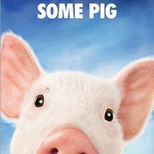 Foto La telaraña de Carlota