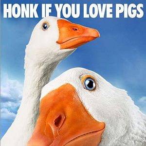 Foto La telaraña de Carlota